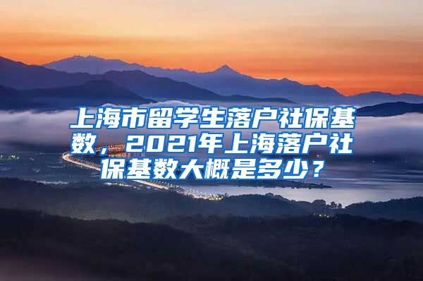 上海市留学生落户社保基数，2021年上海落户社保基数大概是多少？