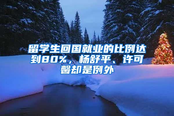 留学生回国就业的比例达到80%，杨舒平、许可馨却是例外