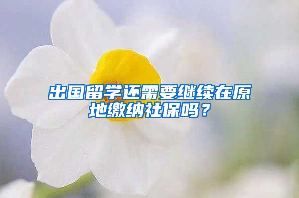 出国留学还需要继续在原地缴纳社保吗？