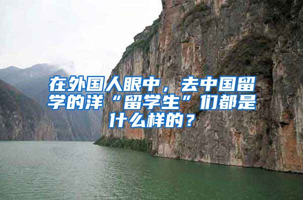 在外国人眼中，去中国留学的洋“留学生”们都是什么样的？