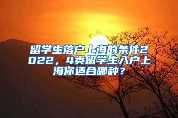 留学生落户上海的条件2022，4类留学生入户上海你适合哪种？