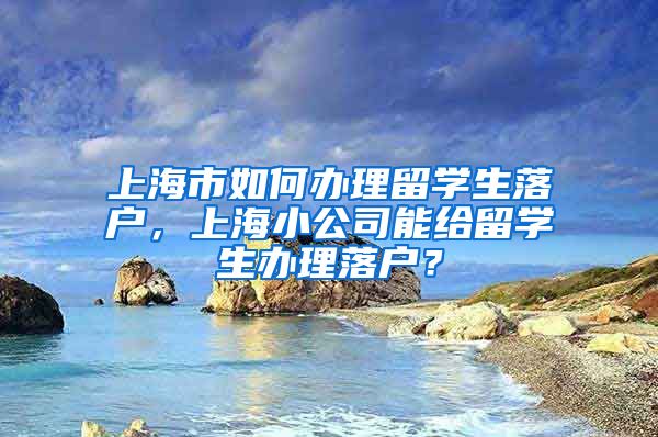 上海市如何办理留学生落户，上海小公司能给留学生办理落户？