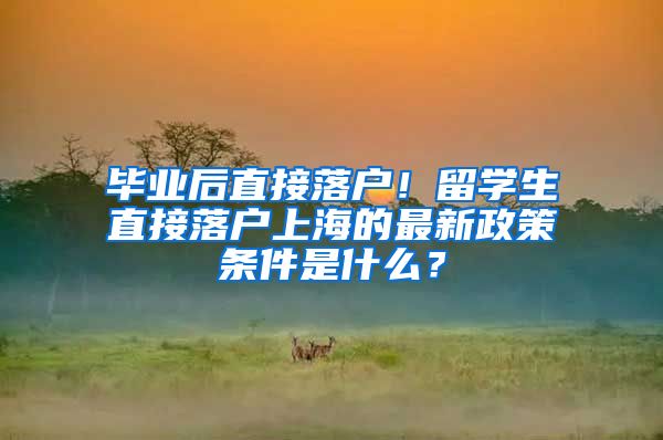 毕业后直接落户！留学生直接落户上海的最新政策条件是什么？