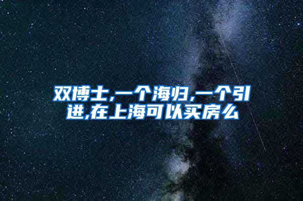 双博士,一个海归,一个引进,在上海可以买房么