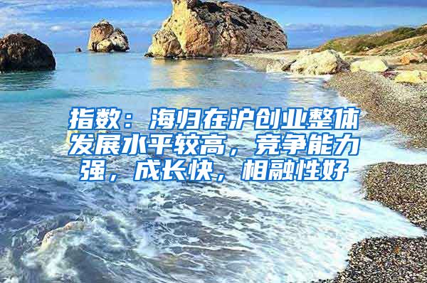 指数：海归在沪创业整体发展水平较高，竞争能力强，成长快，相融性好