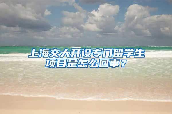 上海交大开设专门留学生项目是怎么回事？