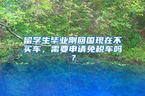 留学生毕业刚回国现在不买车，需要申请免税车吗？