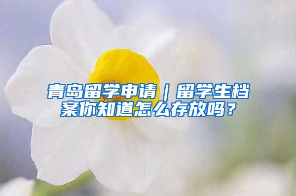 青岛留学申请｜留学生档案你知道怎么存放吗？