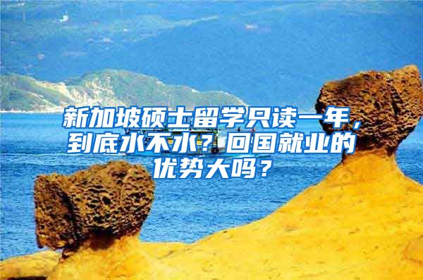 新加坡硕士留学只读一年，到底水不水？回国就业的优势大吗？