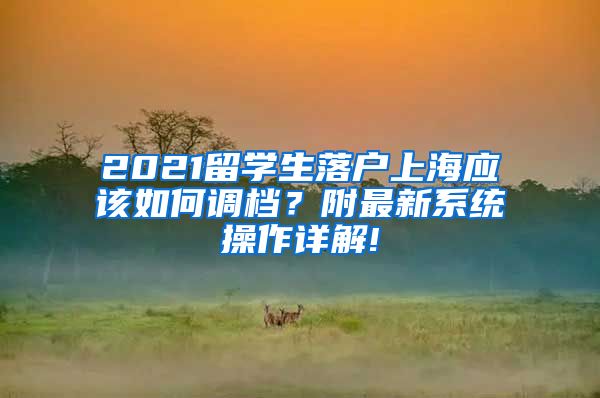 2021留学生落户上海应该如何调档？附最新系统操作详解!