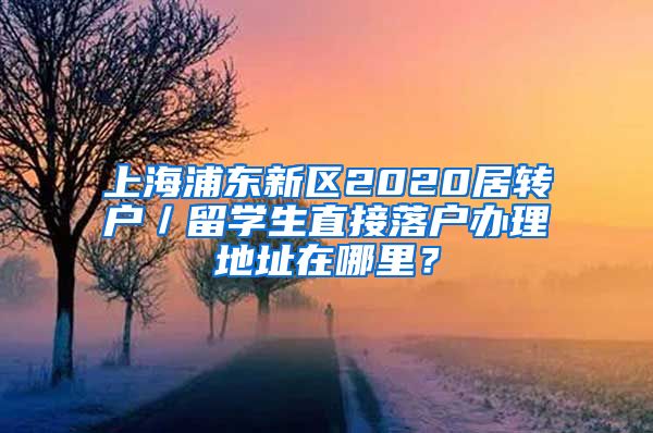 上海浦东新区2020居转户／留学生直接落户办理地址在哪里？