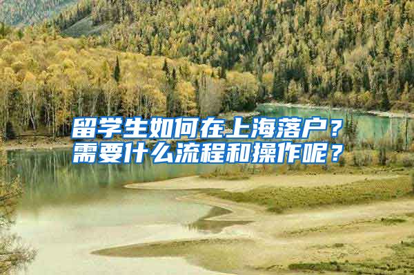 留学生如何在上海落户？需要什么流程和操作呢？