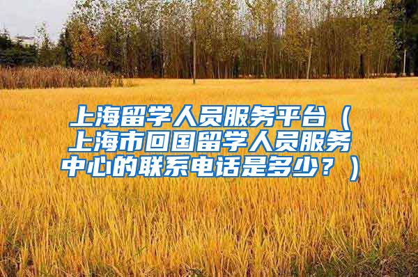 上海留学人员服务平台（上海市回国留学人员服务中心的联系电话是多少？）