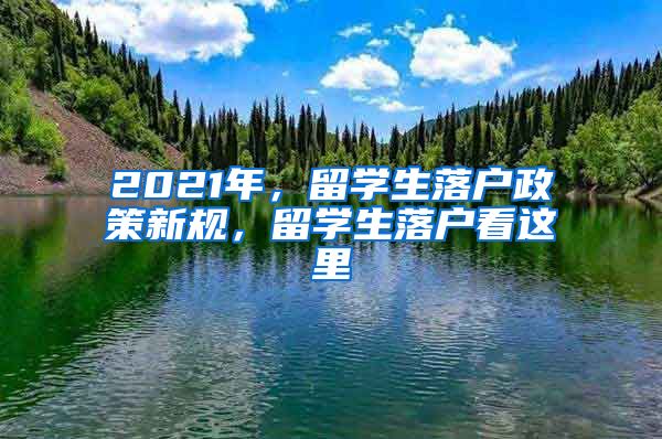 2021年，留学生落户政策新规，留学生落户看这里