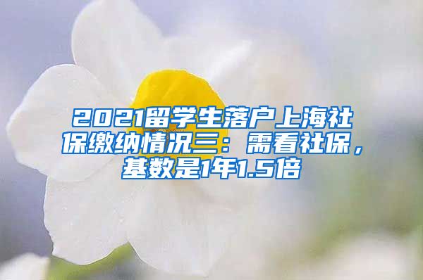 2021留学生落户上海社保缴纳情况三：需看社保，基数是1年1.5倍