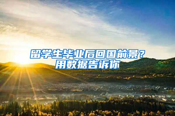 留学生毕业后回国前景？用数据告诉你