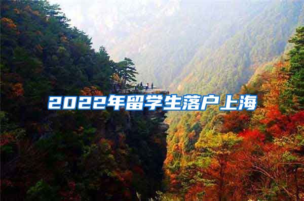 2022年留学生落户上海