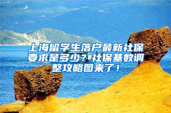 上海留学生落户最新社保要求是多少？社保基数调整攻略图来了！