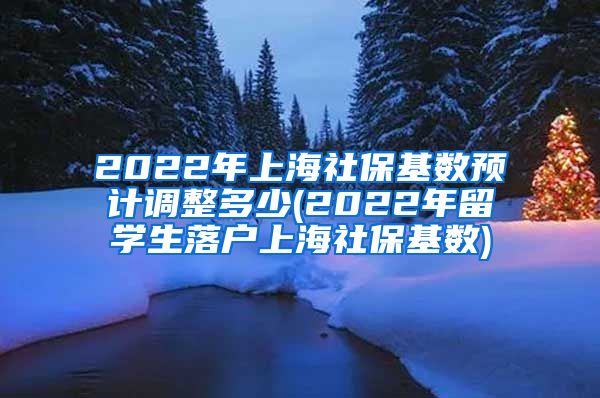 2022年上海社保基数预计调整多少(2022年留学生落户上海社保基数)