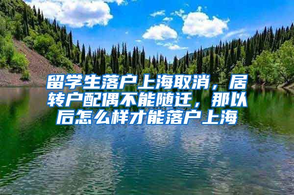 留学生落户上海取消，居转户配偶不能随迁，那以后怎么样才能落户上海