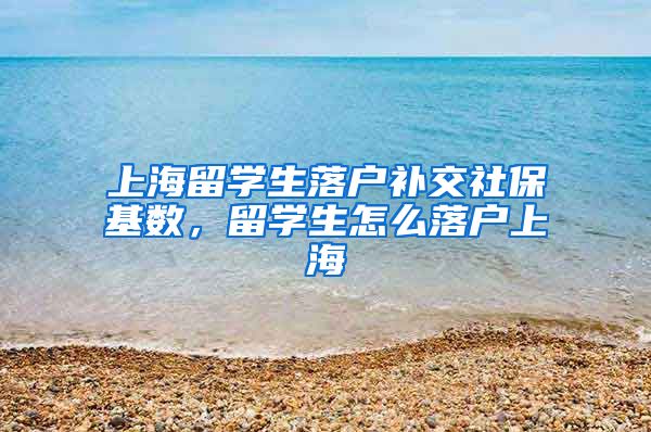 上海留学生落户补交社保基数，留学生怎么落户上海