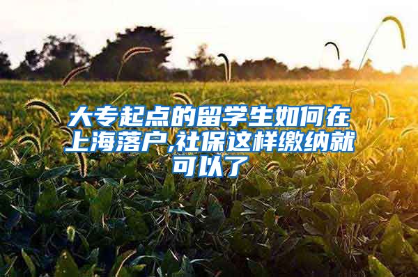 大专起点的留学生如何在上海落户,社保这样缴纳就可以了