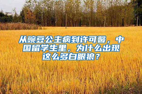 从豌豆公主病到许可馨，中国留学生里，为什么出现这么多白眼狼？