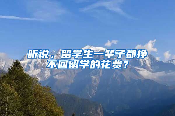 听说，留学生一辈子都挣不回留学的花费？