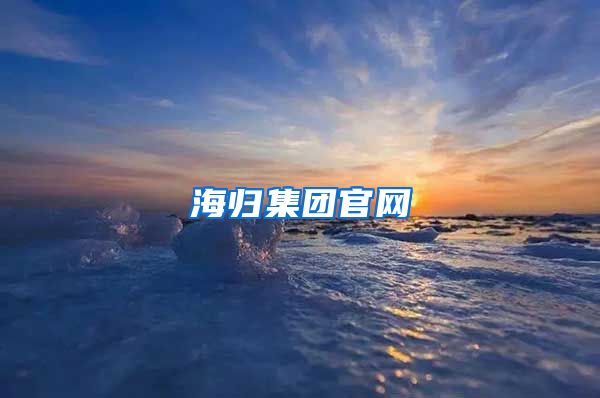 海归集团官网