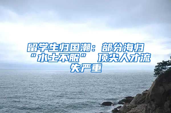 留学生归国潮：部分海归“水土不服” 顶尖人才流失严重