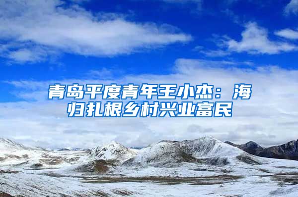 青岛平度青年王小杰：海归扎根乡村兴业富民