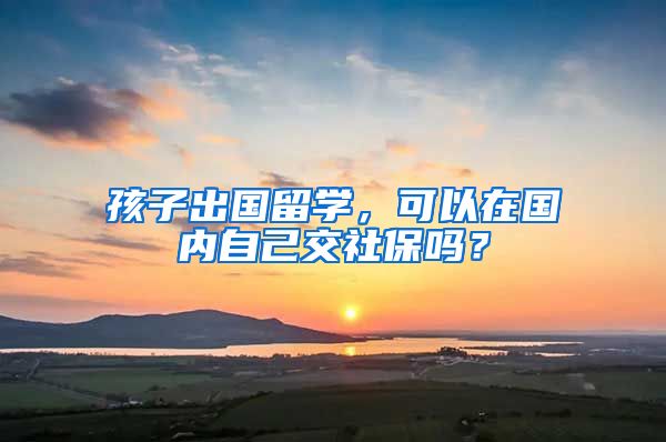 孩子出国留学，可以在国内自己交社保吗？