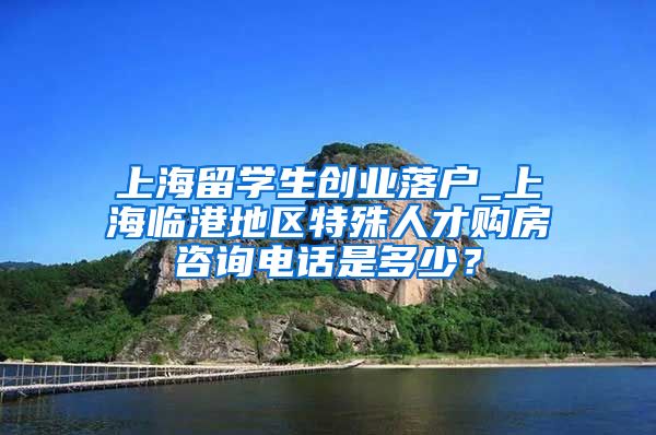 上海留学生创业落户_上海临港地区特殊人才购房咨询电话是多少？