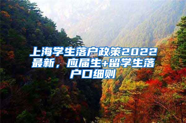 上海学生落户政策2022最新，应届生+留学生落户口细则