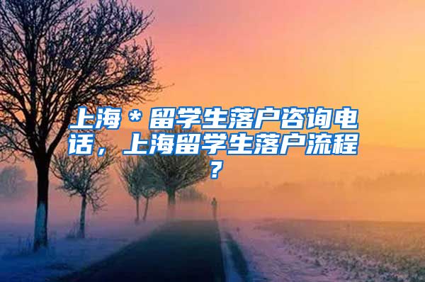 上海＊留学生落户咨询电话，上海留学生落户流程？