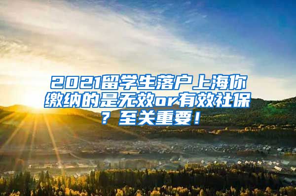 2021留学生落户上海你缴纳的是无效or有效社保？至关重要！