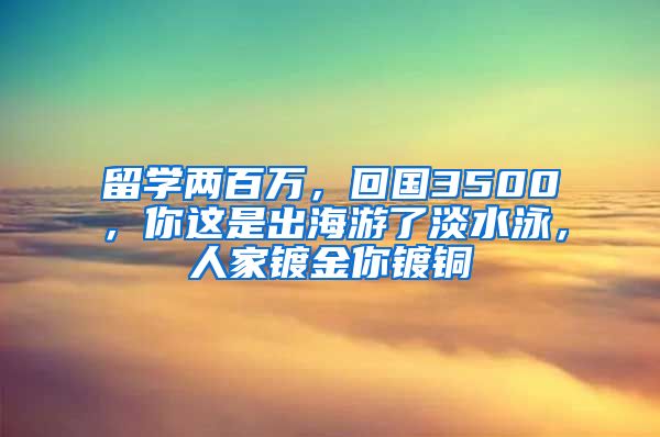 留学两百万，回国3500，你这是出海游了淡水泳，人家镀金你镀铜