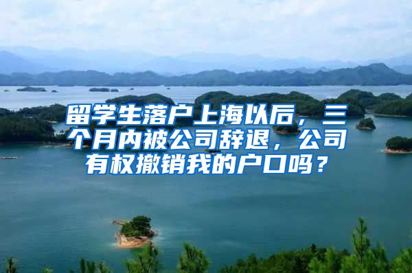 留学生落户上海以后，三个月内被公司辞退，公司有权撤销我的户口吗？