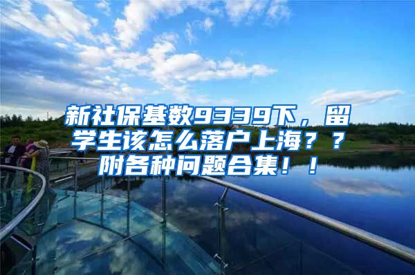 新社保基数9339下，留学生该怎么落户上海？？附各种问题合集！！