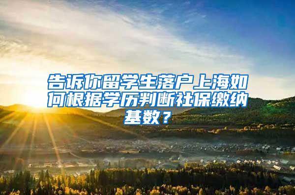 告诉你留学生落户上海如何根据学历判断社保缴纳基数？