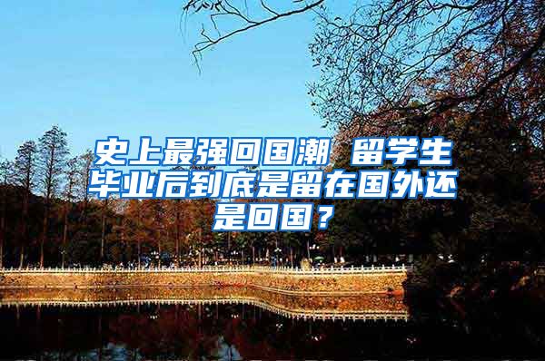 史上最强回国潮 留学生毕业后到底是留在国外还是回国？