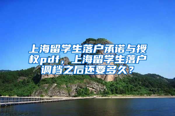 上海留学生落户承诺与授权pdf，上海留学生落户调档之后还要多久？