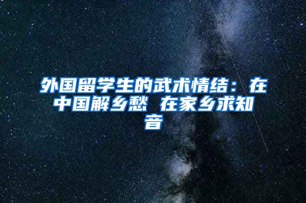 外国留学生的武术情结：在中国解乡愁 在家乡求知音