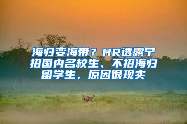 海归变海带？HR透露宁招国内名校生、不招海归留学生，原因很现实