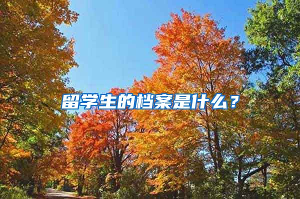 留学生的档案是什么？