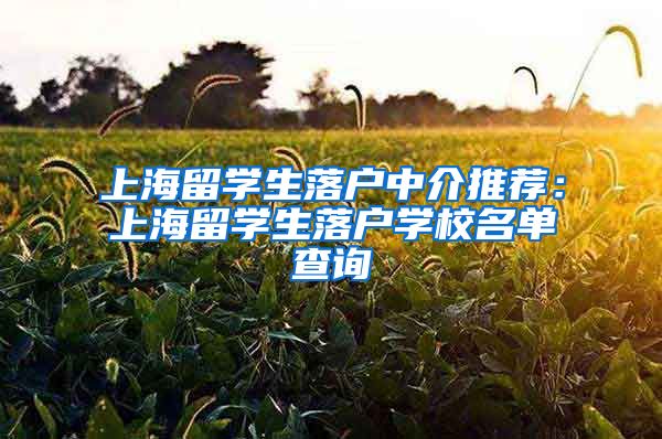 上海留学生落户中介推荐：上海留学生落户学校名单查询