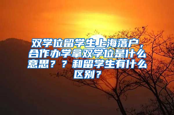 双学位留学生上海落户，合作办学拿双学位是什么意思？？和留学生有什么区别？