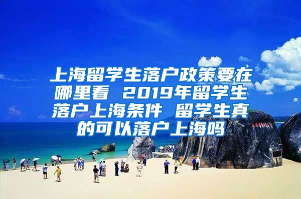 上海留学生落户政策要在哪里看 2019年留学生落户上海条件 留学生真的可以落户上海吗