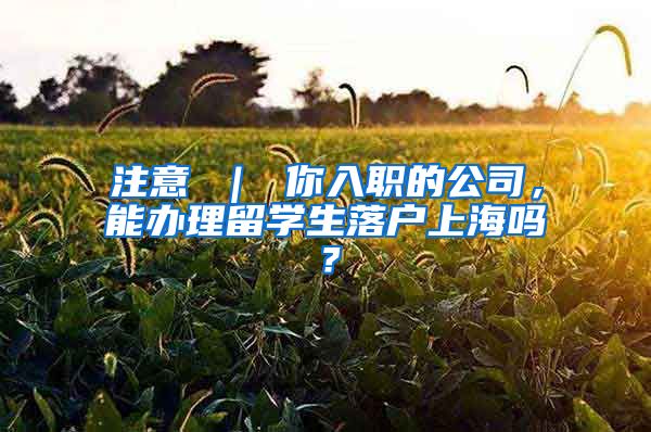 注意 ｜ 你入职的公司，能办理留学生落户上海吗？