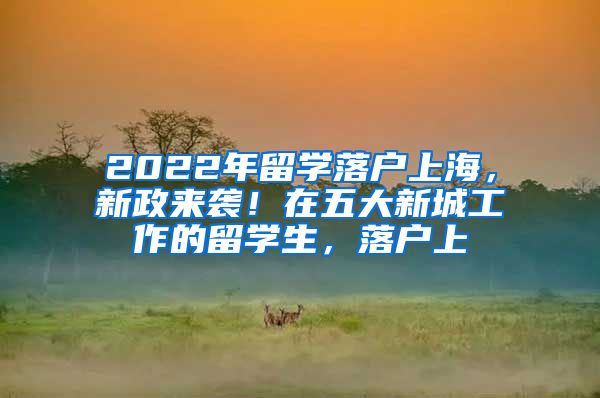 2022年留学落户上海，新政来袭！在五大新城工作的留学生，落户上